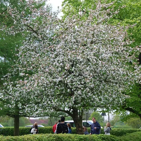 Ξενοδοχείο Landgasthof Pleister Muehle