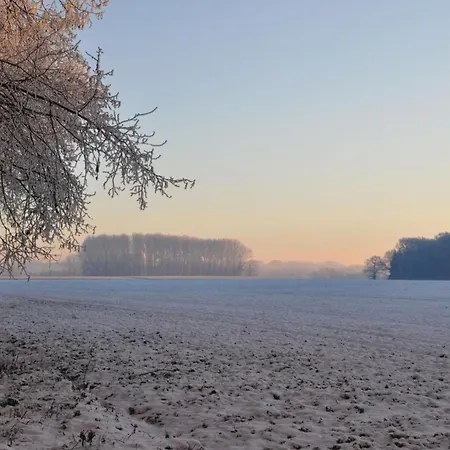 Landgasthof Pleister Muehle 3* Μούνστερ