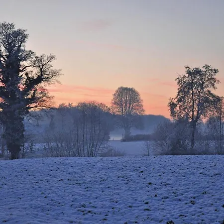 Landgasthof Pleister Muehle Ξενοδοχείο Μούνστερ