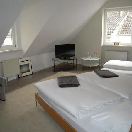 Landgasthof Pleister Muehle ホテル ミュンスター