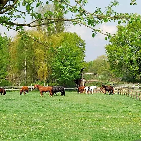 Landgasthof Pleister Muehle Hotel