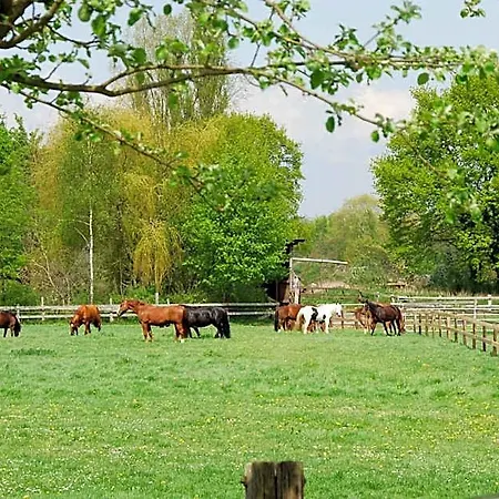 Landgasthof Pleister Muehle 3* Munster (North Rhine-Westphalia)