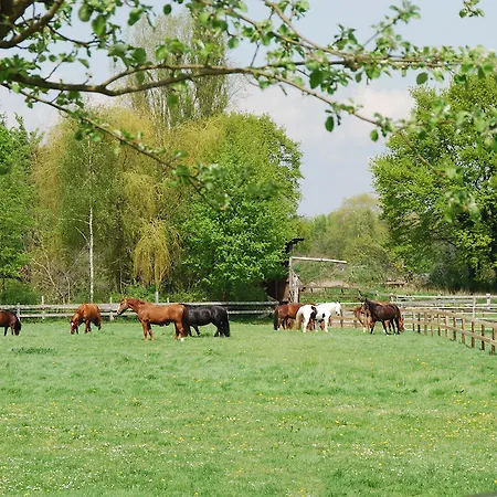 فندق Landgasthof Pleister Muehle 3*