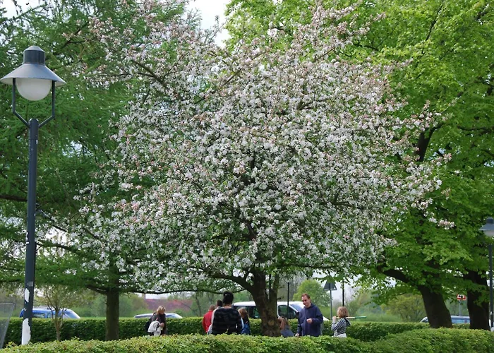 Hotel Landgasthof Pleister Muehle