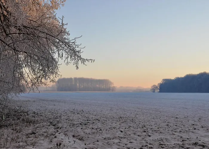 Landgasthof Pleister Muehle 3* ミュンスター