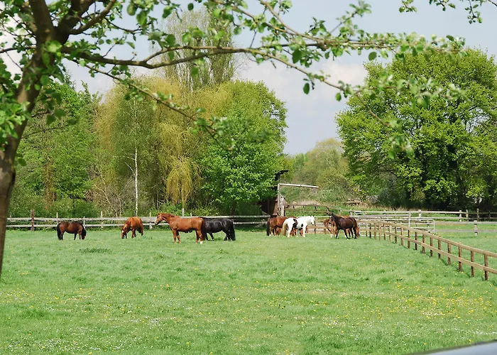 Hotel Landgasthof Pleister Muehle 3*